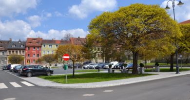 Rynek w Zawidowie: drzewa na płycie głównej i kamienice