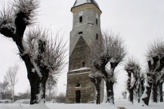 Wieza