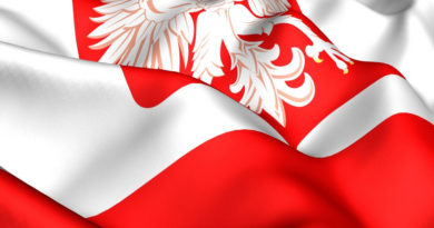flaga narodowa, a na niej godło Polski