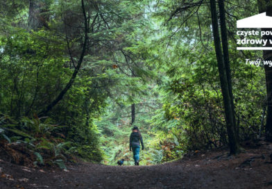 las i kobieta spacerująca z psem