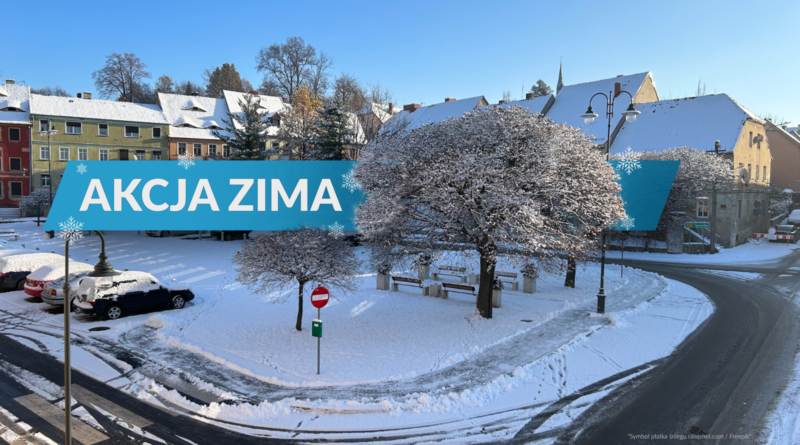 Rynek miejski, na którym zalega warstwa śniegu. na płycie głównej drzewa obsypane śniegiem.