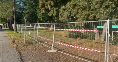 Drzewa ogrodzone siatką, na siatce umieszczone biało-czerowone taśmy budowlane.