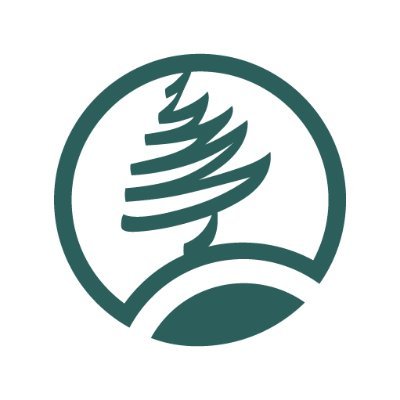 Zielona choinka w kole