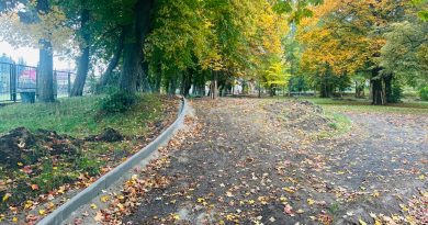 element parku ścieżki z nasypem ziemnym. W tle drzewa.