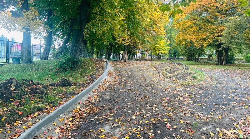 element parku ścieżki z nasypem ziemnym. W tle drzewa.