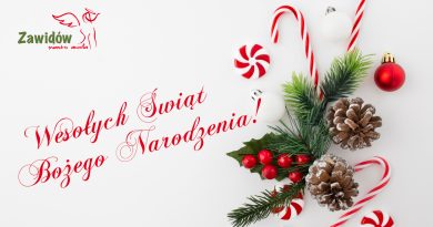 stroik, szyszko, gałązki świerkowe, lizaki biało-czerwone i jarzębina. Napis "Wesołych Świąt bożego Narodzenia" i logo miasta anioł.