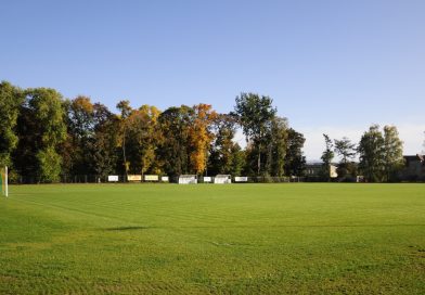 Zielona murawa na boisku piłkarskim, w tle drzewa parkowe.