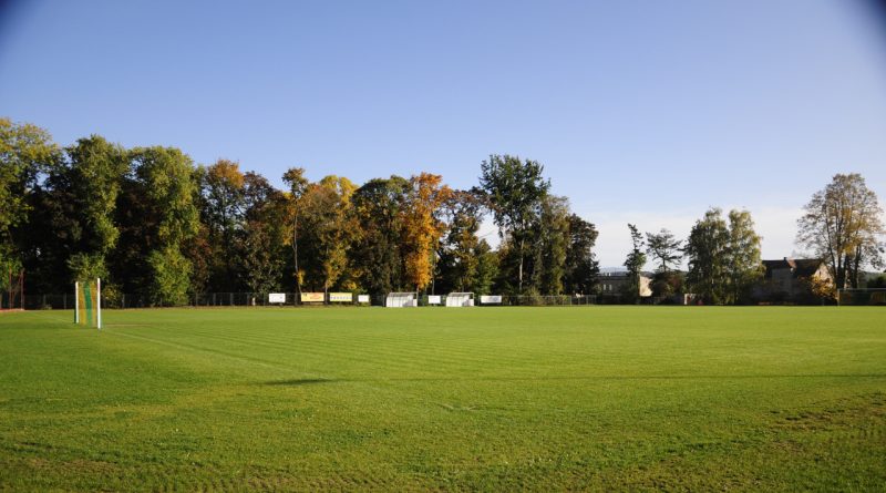 Zielona murawa na boisku piłkarskim, w tle drzewa parkowe.