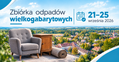 fotel, szafka, dywan w tle panorama miasta