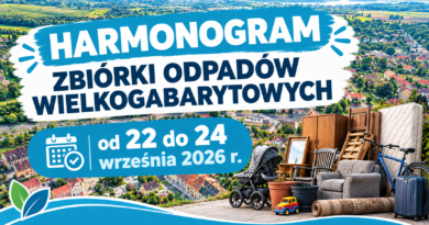 Panorama miasta a na jej tle zabawki, dywan, szafa, wózek dziecięcy i tytuł Harmonogram zbiórki odpadów wielkogabarytowych